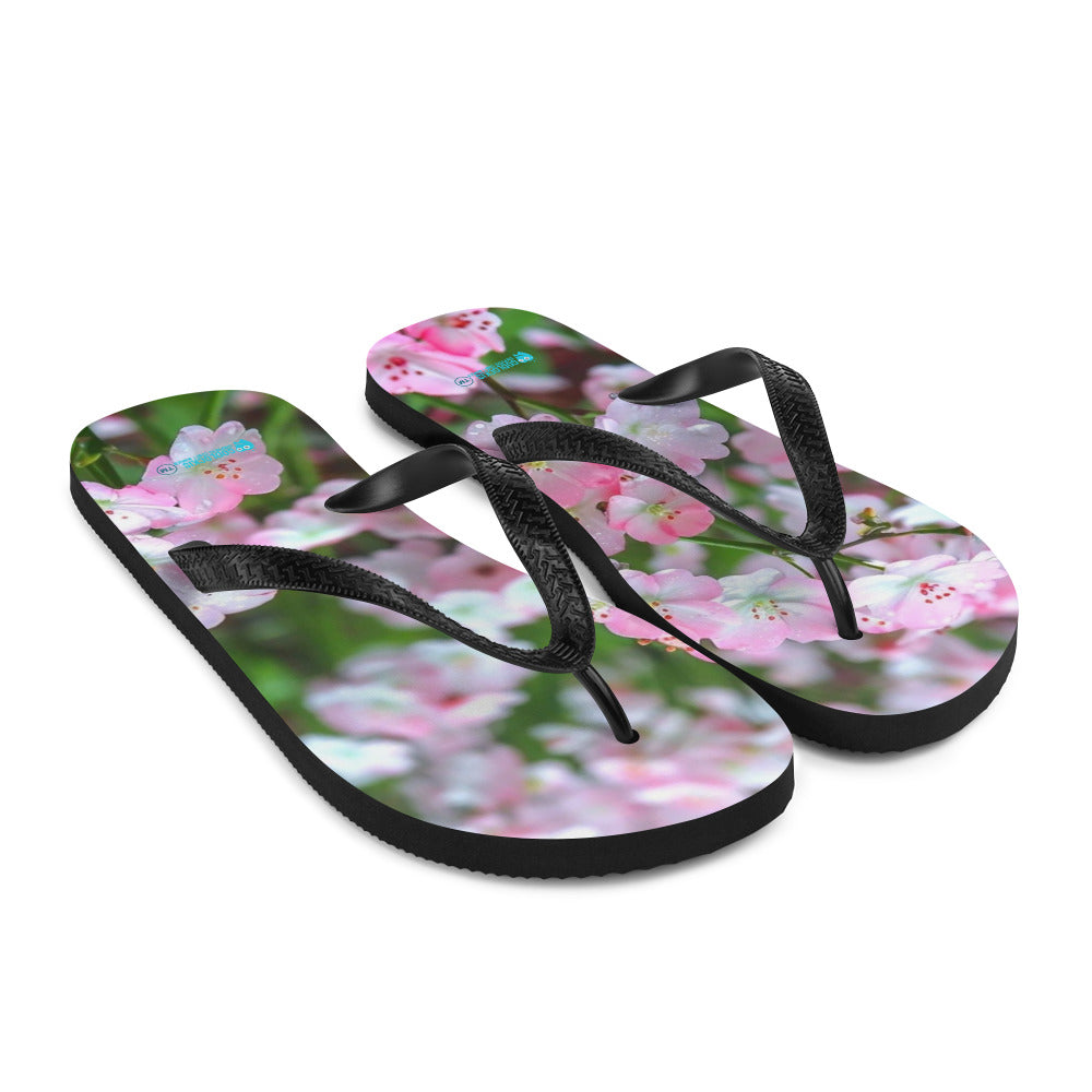 Flip-Flops