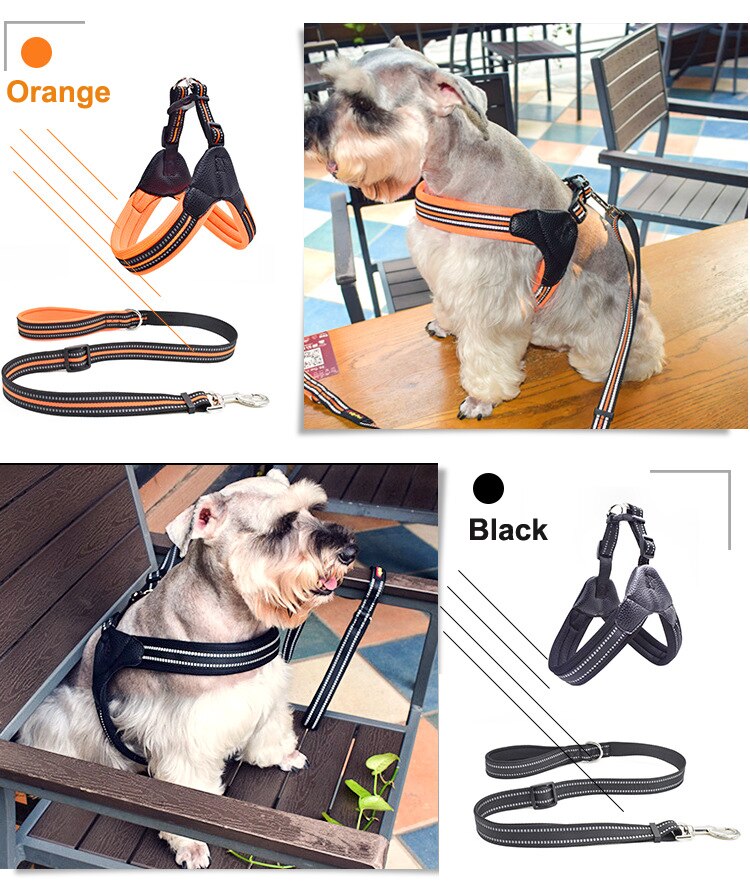 Reflective Nylon Dog Harnesses Step in Soft Mesh Padded Small Dog Puppy Harness Leash Set Safety For Walking S M L