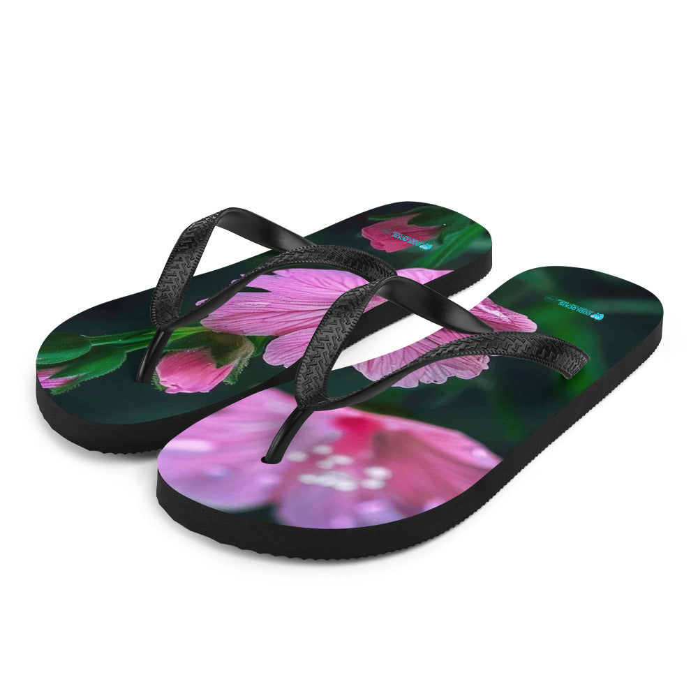 Flip-Flops