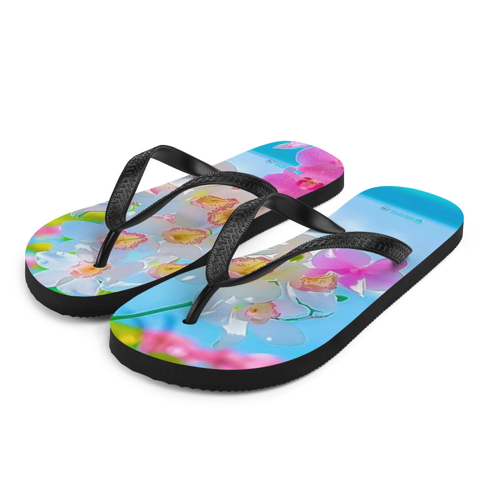 Flip-Flops