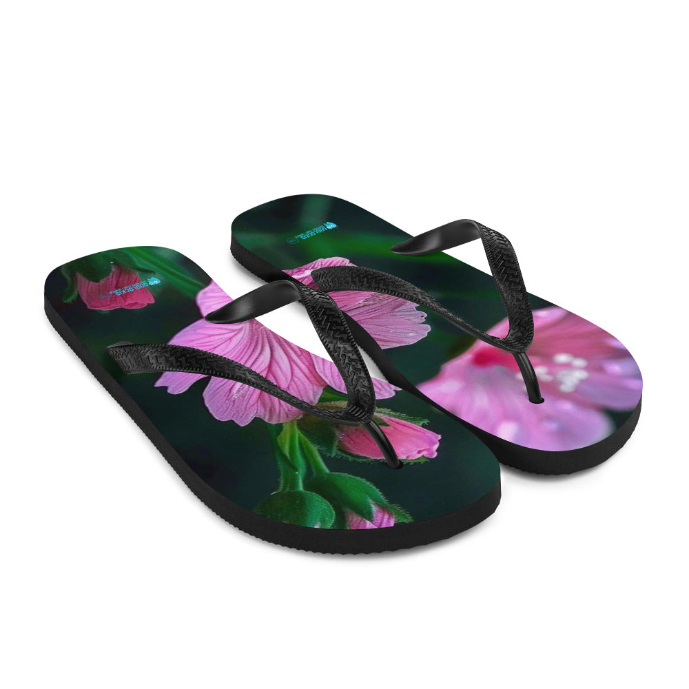 Flip-Flops