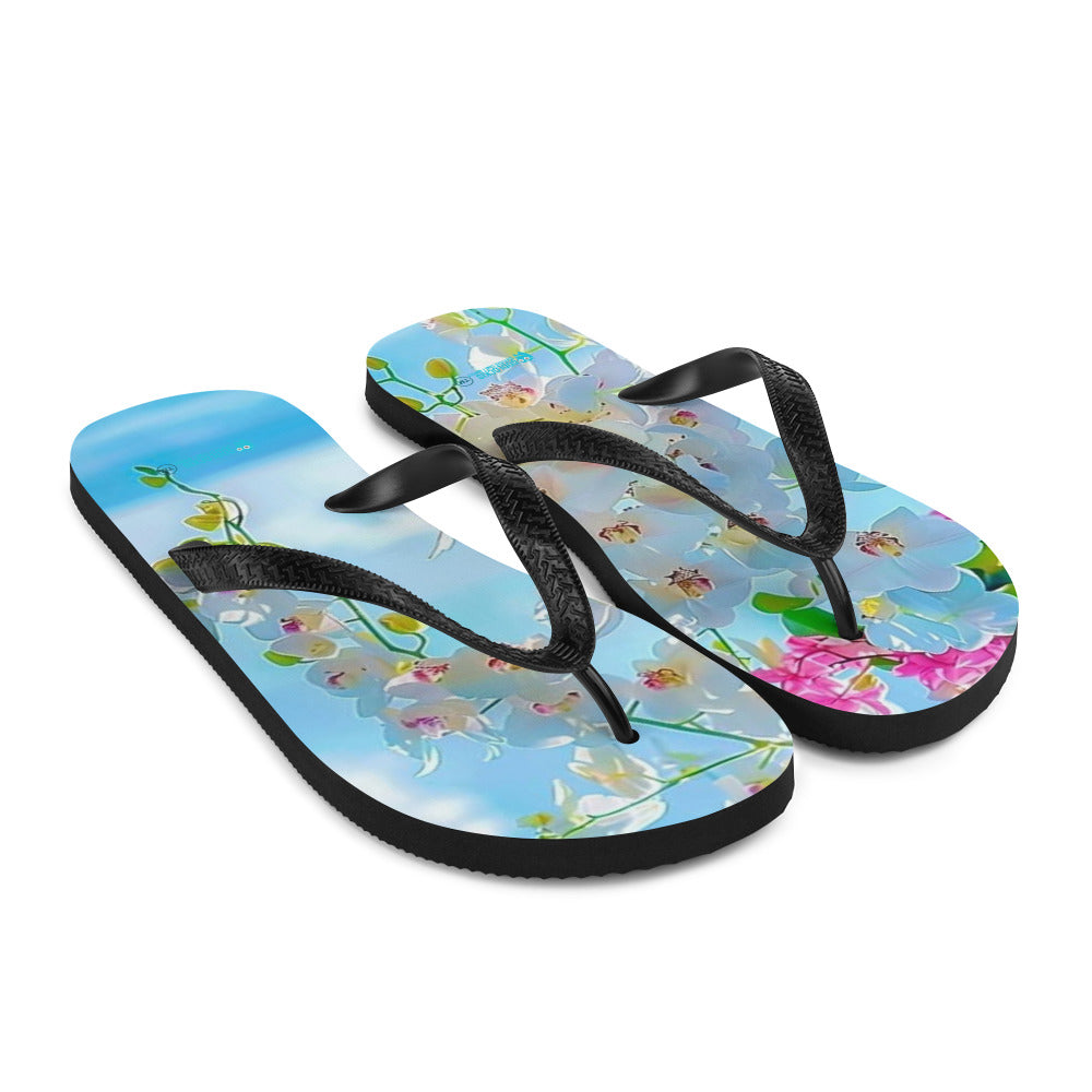 Flip-Flops