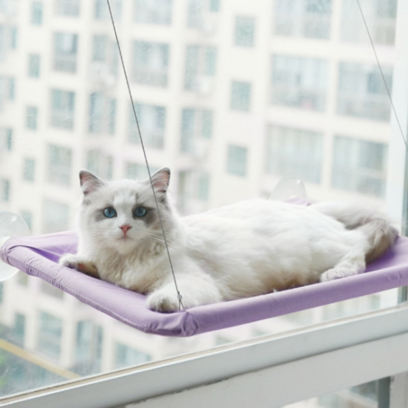 Cat Hanging Beds Comfortable Window Seat Mount Detachable Pet Hammock Mats Shelf Seats Accessories Track Ball Toys For Cat Beds