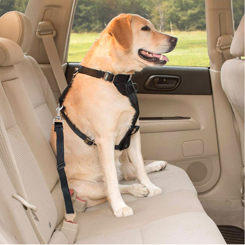 Large Dog Car Seat Adjustable Harness Pet Puppy Lead Vehicle Supplies Small Dogs Leash Accessories Travel Clip For Cat Chain