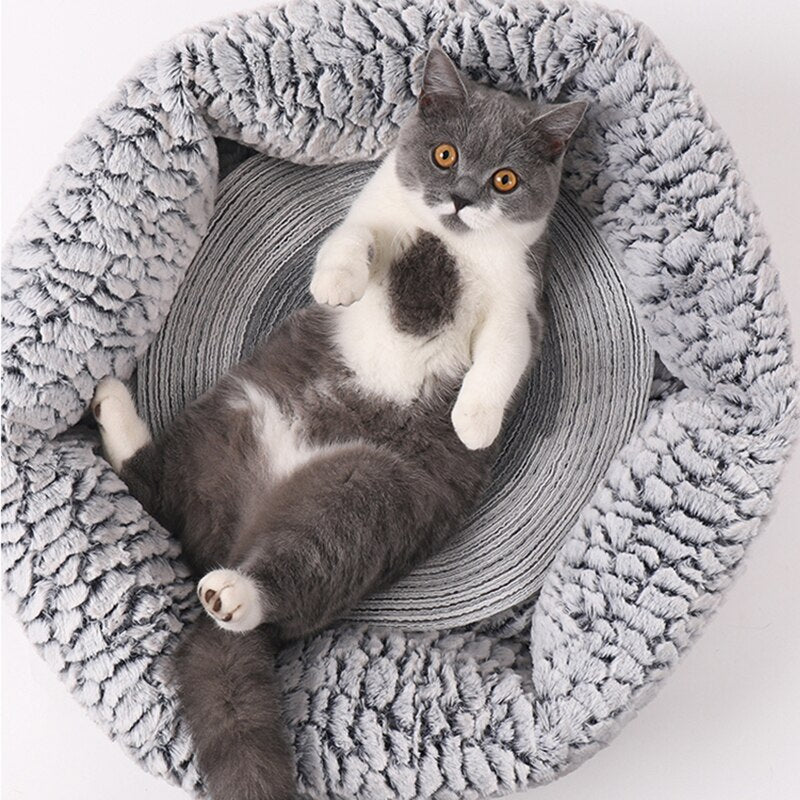 Cat Scratching Pad Cat Scratcher Kitten Scraper Toys Pet Scratch Mats Cat Scratching Board Pad  Furniture Protector Pet Supplies