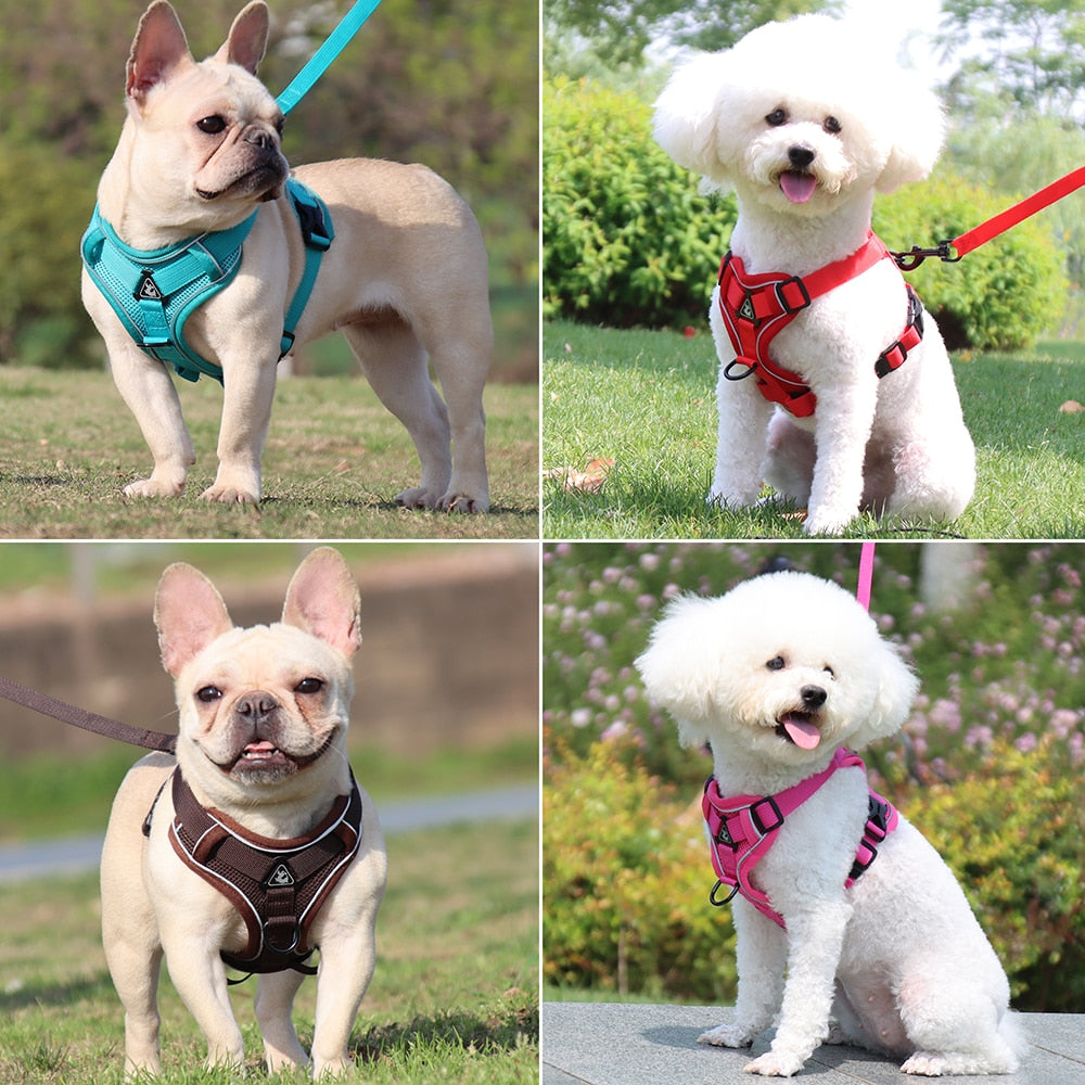 New Dog Harness for Small Meduim Dogs Cats No Pull Reflective Pet Chest Vest Traction Leash Set Adjustable Outdoors Pet Harness