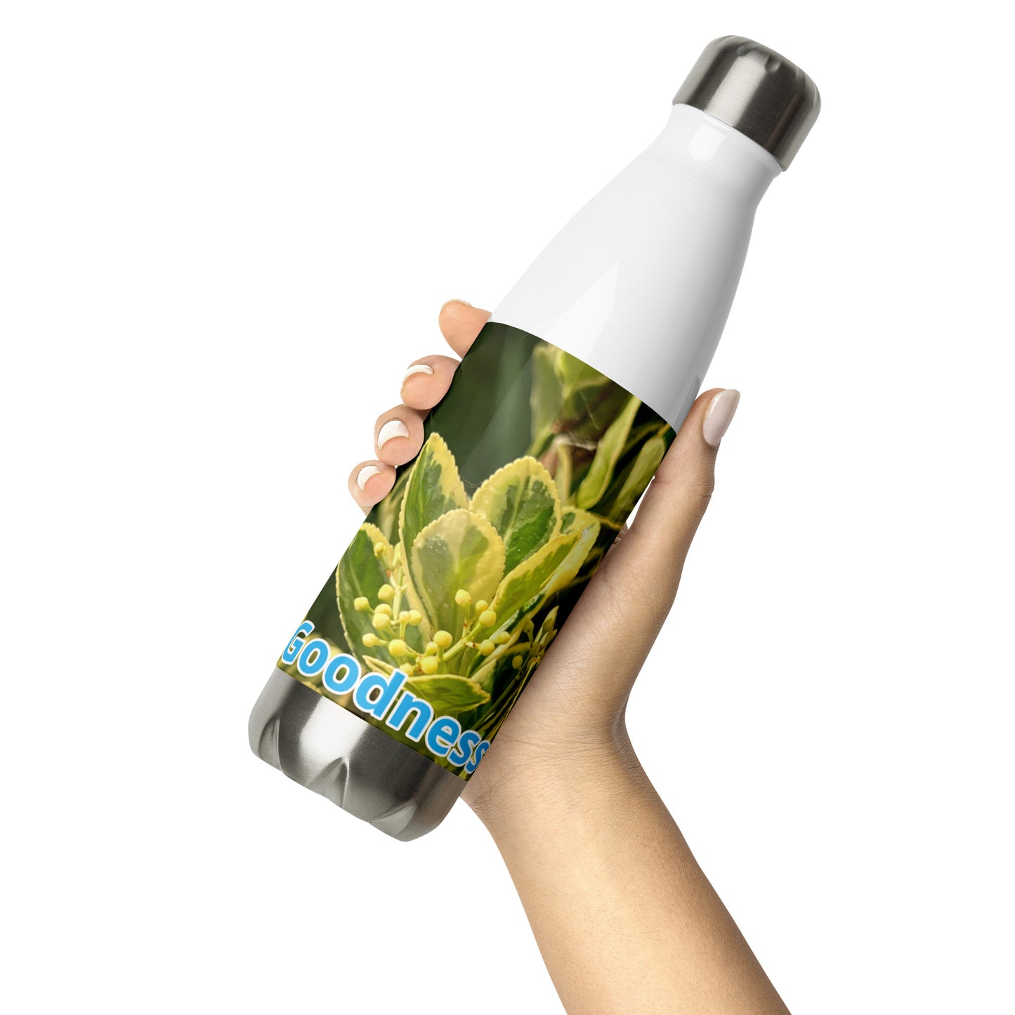 Stainless Steel Water Bottle